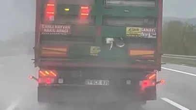 Kuzey Marmara’da dehşete düşüren görüntüler: Tırın dorsesinden sarkan tavuklar trafiği birbirine kattı