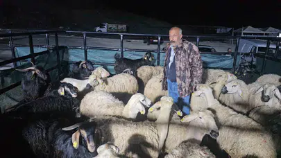 Kurbanlıkların başında 24 saatlik nöbet: Çocuklarının geleceği için gözünü kırpmıyor