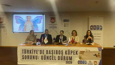 Sokaklarda can pazarı: Mağdur aileler yaşadıkları dehşeti anlattı