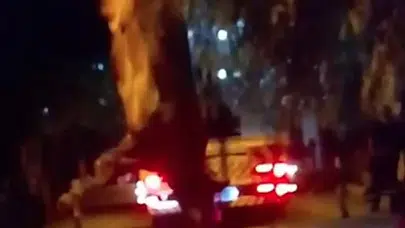 Kurbanlık dana özgürlüğüne kavuşmak isterken dereye düştü: Operasyon saatler sürdü