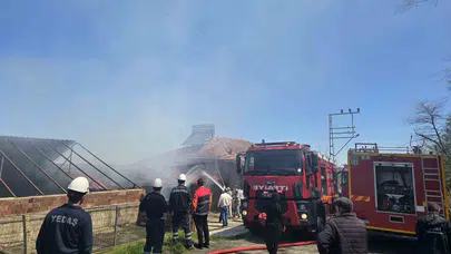 Kumru’da korku dolu anlar: Alevler 3 katlı binayı sardı