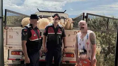 Bayram öncesi büyük şok yaşamıştı: Jandarma operasyonuyla koyunlarına kavuştu