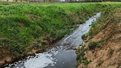 Sinop’ta doğa katliamına ağır fatura: İkinci denetimde ceza ikiye katlandı
