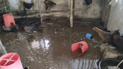 Erzincan’da acı bilanço: Çiftlik sular altında kaldı, emekler boşa gitti
