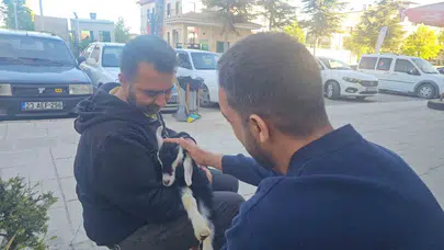 Şehir hayatının ortasında beklenmedik dostluk: Marketin yeni neşe kaynağı Zeytin