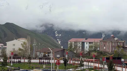 Hakkari'de bahar şaşkınlığı: Sümbül Dağı'nda mayıs sürprizi