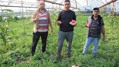 Sadece bir ay raflarda kalıyor: Kumluca’nın gizli lezzeti Karacaören karpuzunda hasat heyecanı
