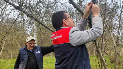 Tarım arazileri için büyük tehdit: Kırklareli'nde istilacı türe karşı alarm verildi