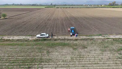 Dolu felaketi Çukurova’da planları değiştirdi: Mısır tarlaları ayçiçeğine emanet