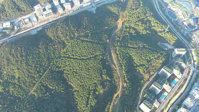 Beton yığınlarının arasında nefes alacak yer arayanlara müjde: Kağıthane yeşile boyandı