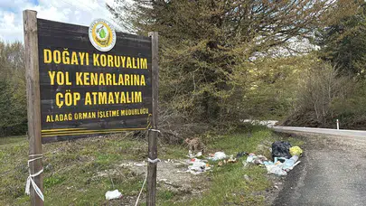 Bolu’da akıllara durgunluk veren manzara: Uyarı tabelasını çöp konteyneri sandılar