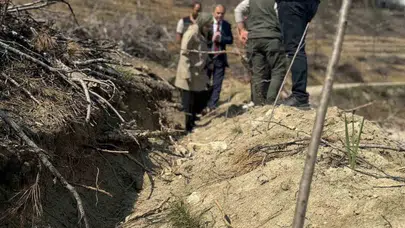 Küllerinden doğan ormanlar için seferberlik: Gölpazarı’nda yeşil nöbeti
