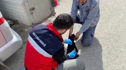 Evcil dostlar için dijital güvence dönemi: Emet’te kimliklendirme seferberliği