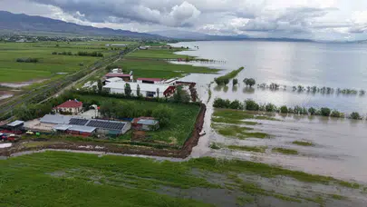 Elazığ’da baraj alarmı: Üreticiler hayvanlarını kurtarmak için geceyi ayakta geçiriyor