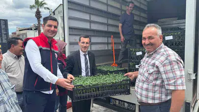Bozdoğan’da toprak bereketleniyor: 14 bin fide üreticiyle buluştu