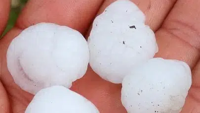 Siverek’te gökyüzü bir anda karardı: Hasat dönemi öncesi dolu kabusu yaşandı