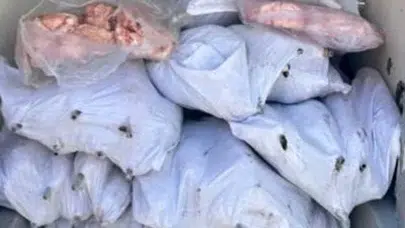 Sofralara ulaşmadan yakalandı: Tonlarca sağlıksız gıdaya jandarma engeli