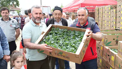 Gebze’de tarımın çehresi değişiyor: 440 üreticiye 500 bin fideyle can suyu