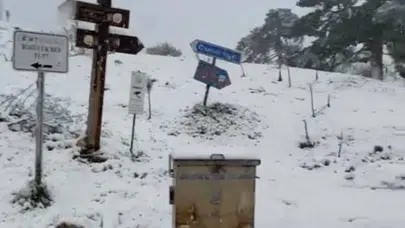 Bilecik'te mayıs sürprizi: Bahar çiçekleri kar altında kaldı