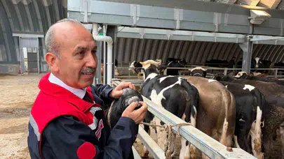 Balıkesir'de Kurban Bayramı mesaisi: 256 noktada kesim onayı çıktı
