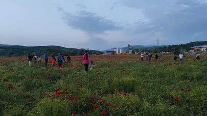 Bayram yolunda kırmızı sürpriz: Bingöl’deki bu manzara sürücüleri direksiyon başından indirdi