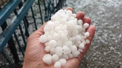 Kayısı diyarı Malatya’da dolu kabusu: Üreticinin umutları bahçede kaldı