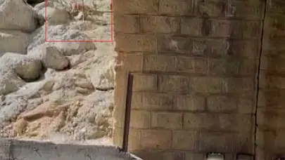 Sarp kayalıkların gizli sakinleri objektiflere takıldı: Malatya'da doğa şöleni