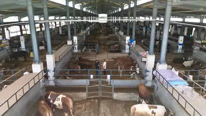 İnegöl’de kurban bereketi: 4 bin hayvan kısa sürede tükendi
