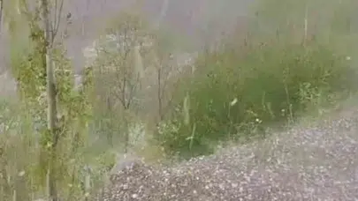 Erzurum’da gökyüzü öfkesini kustu: Tarım arazileri beyaz örtüye teslim oldu