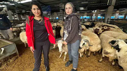 Kurban pazarının ezber bozan yüzleri: Müşteri sandıkları genç kadınlar şimdi satış rekorları kırıyor