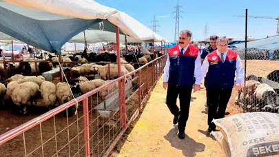 Mersin’de bayram mesaisi: Kurban pazarlarında denetim seferberliği