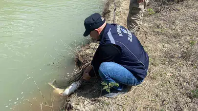 Karasu Nehri’nde kaçak avcılara geçit yok: Ekipler seferber oldu