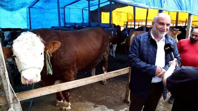 Kurban pazarının kralı belli oldu: 1,3 tonluk Paşa servet değerinde