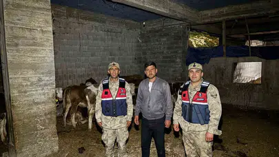 Kilis’te kayıp ihbarı paniği kısa sürdü: Jandarma ekipleri sürüyü arazide buldu