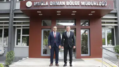 Kestane üretiminin kalbinde seferberlik: Gal arısına karşı doğanın kendi silahı devreye girdi