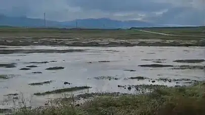 Eskişehir’de kabus dolu saatler: Sağanak tarımı vurdu, çiftçinin gözü yaşlı
