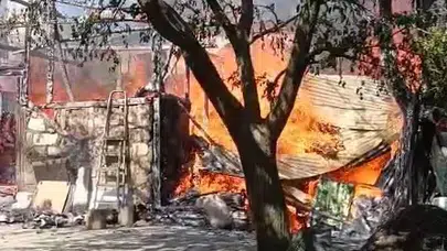 Bula Köyü'nde korku dolu anlar: Köylülerin müdahalesi faciayı önledi