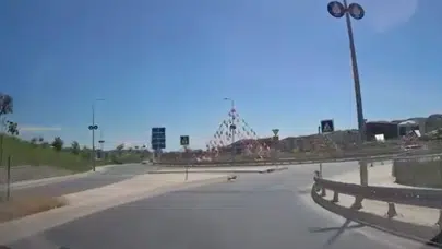 Kurban Bayramı'nda şaşırtan kovalamaca: Küçük köpek trafiği birbirine kattı