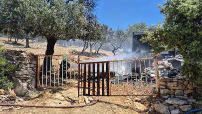 Bodrum’da yürekleri ağza getiren yangın: Yaşlı çiftin yuvası küle döndü
