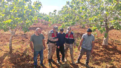 Korkulu bekleyiş mutlu sonla bitti: Jandarma 16 yaşındaki genci fıstık bahçesinde sağ salim buldu