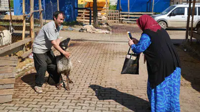 Samsun’da kurban bereketi: Besiciler bayramın ikinci gününde de yüzü gülen tarafta