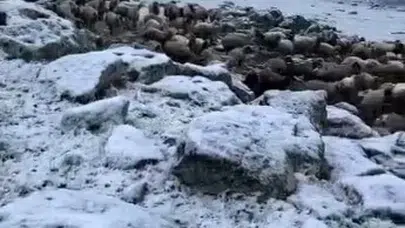 Takvimler haziranı gösterirken Kars'ta kış mesaisi: Mayıs sonunda lapa lapa kar sürprizi