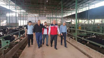 Hatay’da kurban telaşı başladı: Ekipler sahaya indi, denetimler sıkılaştırıldı