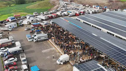 Kurban Bayramı heyecanı Çubuk’ta zirveye çıktı: Besiciler ve alıcılar arasında fiyat pazarlığı kızıştı