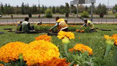 Şanlıurfa’da bahar şöleni: Kendi ürettiği çiçeklerle şehri baştan aşağı yeniledi