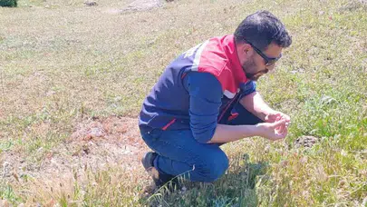 Koçarlı’da çiftçinin korkulu rüyasına karşı teyakkuza geçildi: Ekipler sahada