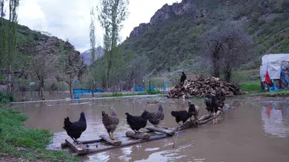 Beytüşşebap’ta doğa felaketi: Habur Çayı taştı, ulaşım ve yaşam durma noktasına geldi