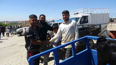 Kilis’te bayram bereketi: Kurbanlık pazarlarında sıkı pazarlık dönemi başladı