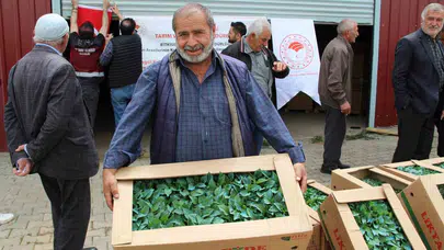 Bingöl’de tarım atağı: 570 çiftçiye dev fide desteği