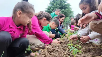 Geleceğin üreticileri iş başında: Ata tohumları minik öğrencilerin ellerinde hayat buldu